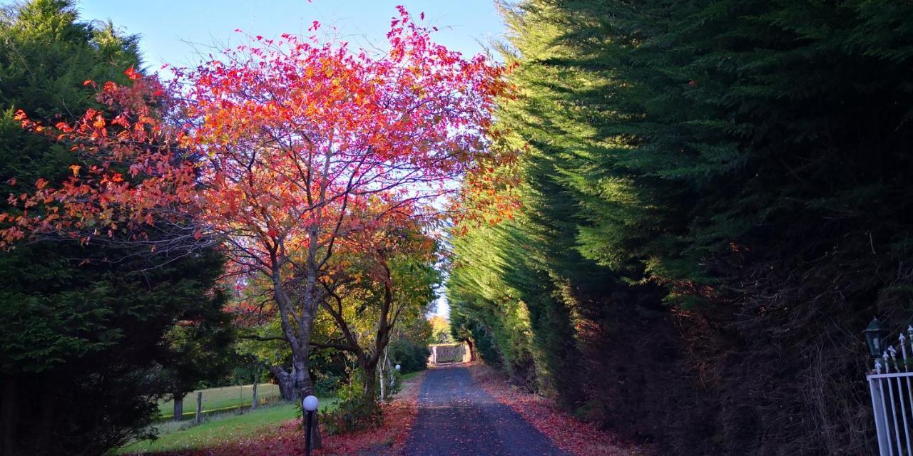 Road Sun Tourist Lodge Dunedin Dış mekan fotoğraf