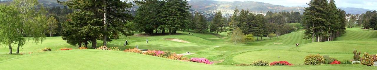 Road Sun Tourist Lodge Dunedin Dış mekan fotoğraf